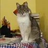 Отзыв от Динара Карташова